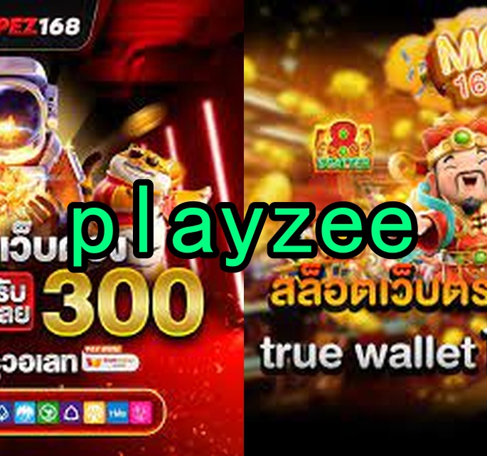 playzee.com